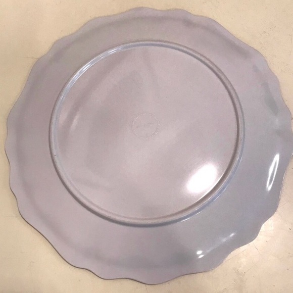 ANTHROPOLOGIE Set of 7 Dinner Plates, Nature Design, Melamine, 10.5” radius - Picture 4 of 9